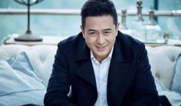 元芳爆料张嘉译视频全集,张嘉译视频全集揭秘，精彩瞬间一网打尽