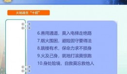 网友爆料视频模板,惊心动魄的现场瞬间！