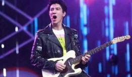 独家爆料王力宏简介视频,王力宏简介视频背后的故事与精彩瞬间