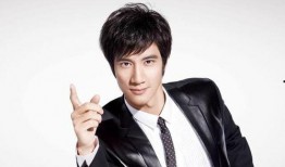 独家爆料王力宏简介视频,王力宏简介视频背后的故事与精彩瞬间