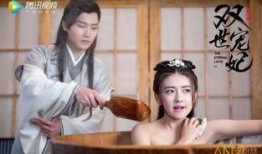 双世宠妃在线观看免费,穿越时空的甜蜜邂逅