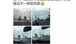 彩虹最新爆料视频,揭秘神秘视频背后的惊人真相