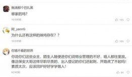 爆料视频怎么看不到了,爆料视频消失之谜，真相竟如此惊人！