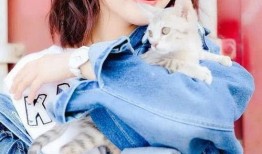 李沁xz圈内爆料,揭秘娱乐圈背后的真实故事