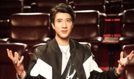 独家爆料王力宏简介视频,王力宏简介视频背后的故事与精彩瞬间