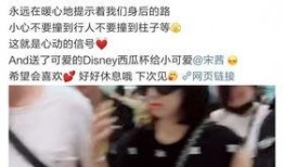 人品爆料宋茜视频大全