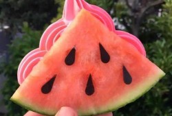 吃瓜网红肥仔