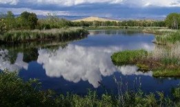 成都白沙湖最新爆料,揭秘生态公园的蜕变与未来展望