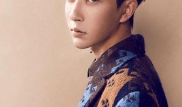 娱乐圈爆料狐狸博主,狐狸博主揭秘明星幕后真相