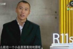 袁立郑昊爆料视频播放,揭秘娱乐圈背后真相