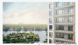 张浦最新爆料,揭秘娱乐圈惊人内幕