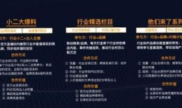 爆料奖金玩法大全视频播放,爆款视频播放背后的秘密解析