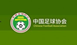 足协爆料新闻视频下载,新闻视频下载背后的故事