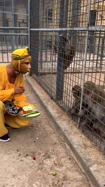 娱乐吃瓜酱猴,揭秘娱乐圈那些不为人知的幕后故事